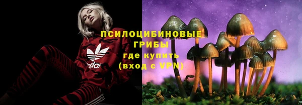 синтетический гашиш Богородицк