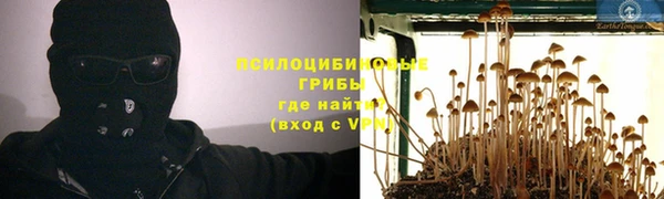 синтетический гашиш Богородицк