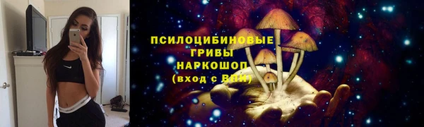 синтетический гашиш Богородицк