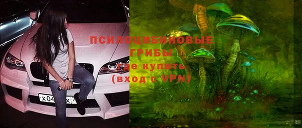 синтетический гашиш Богородицк