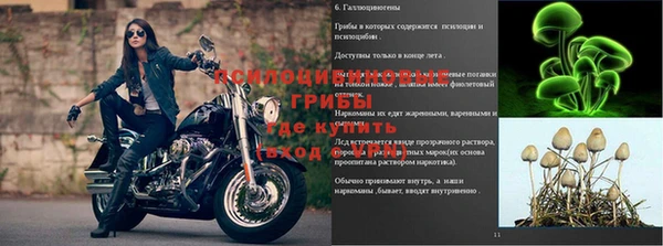 меф VHQ Богданович