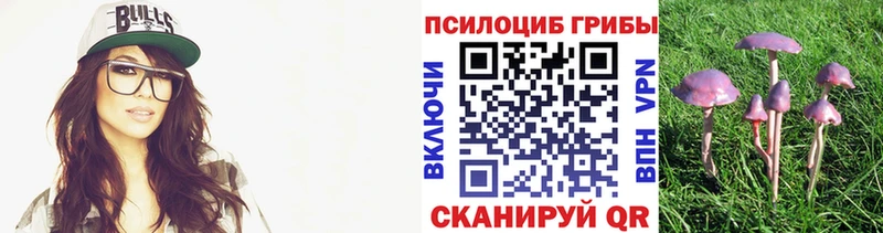 Галлюциногенные грибы прущие грибы  Купить  Лыткарино 